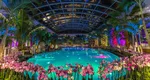Therme București, acuzată că și-a falsificat portofoliul pentru a primi un contract de sute de milioane în Canada / Investigație NYT