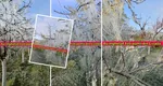Fructele se scumpesc cu 50%. Valul de frig care a lovit România a afectat pomii fructiferi: ”Florile s-au înnegrit și au murit”
