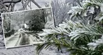 Avertizare meteo de polei, vânt puternic și ninsori la munte. Iarnă în plină primăvară în România