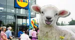 Cât costă mielul la LIDL cu o săptămână înainte de Paște. Îl poți comanda direct din aplicație