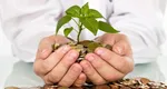 3 ZODII atrag succesul financiar după intrarea SOARELUI în TAUR 