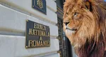 Lovitură pentru românii care ţin economiile „la ciorap” în această valută. BNR anunţă marţi cotaţiile dezastrului