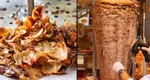 S-a cerut interzicerea döner kebap-ului! Este scandal uriaş, meniul şi vânzările ar putea fi serios afectate
