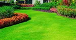 Ce trebuie să faci în luna mai pentru a avea un gazon sănătos