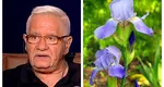 Horoscopul Florilor. Mihai Voropchievici dezvăluie care e cea mai narcisistă zodie