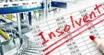 Trei firme dintr-un grup care deține șapte fabrici importante din România au intrat în insolvență