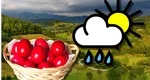 Prognoza meteo. Furtuni electrice, averse şi vânt, vremea se strică de miercuri