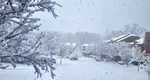 Prăpăd în mai multe zone din România din cauza vremii! Accidente, acoperișuri smulse și străzi blocate. VIDEO