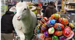Paște 2025. Cât a ajuns prețul coșului de cumpărături, în pragul sărbătorilor. Prețul a explodat, față de anii trecuți