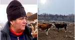 Afacerea cu care o româncă a dat lovitura. A riscat totul pe o rasă specială de animale