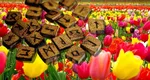Horoscop rune 24 aprilie 2025. Ce zodie are parte de protecţia totală a WUNJO. Fehu, Ansuz sau Jera vin cu mesaje care încurajează curajul, introspecția și transformarea