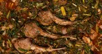 Stufat de miel. Rețetă delicioasă pentru masa de Paște