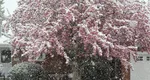 ANM a modificat prognoza meteo: Ninsorile și vremea rea continuă și miercuri, 9 aprilie