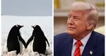 Donald Trump declară război comercial pinguinilor. Președintele american a impus o taxă de 10% unor insule pe care locuiesc numai pinguini: „Nicăieri pe Pământ nu mai este sigur”