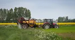 Subvenții APIA 2025. Câți bani primesc agricultorii de la stat în luna iunie