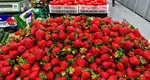 Trucul simplu prin care puteți menține căpșunile proaspete până la 10 zile. Cum vă puteți bucura de delicioasele fructe mai mult timp