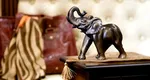 Elefant Feng Shui. Unde să îl pui în casă ca să îţi aducă noroc, bani şi succes