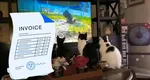 Facturile se dublează, CALCUL complet. Cât curent consumă un televizor și cât vom plăti lunar, de la 1 iulie 2025, doar pentru el