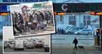 Cine sunt românii din Diaspora care pot primi 1.000 de dolari dacă se repatriază benevol