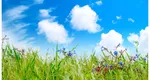 Horoscop mai 2025. Zodiile care atrag banii ca un magnet și au noroc triplu
