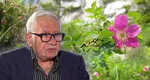 Horoscopul FLORILOR, realizat de Mihai Voropchievici. Zodiile care au parte de un destin de poveste, belșug și dragoste