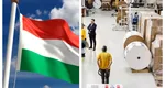 Ungurii continuă investițiile în România și deschid o nouă fabrică în țara noastră
