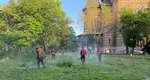 Hotărârea care a înfuriat timișorenii. Cetățenii trebuie să tundă iarba de pe domeniul public