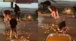O femeie din Timișoara a aruncat pe jos 13.000 de euro. Oamenii s-au îngrămădit să îi strângă