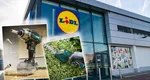 Ce pot cumpăra românii de la Lidl în perioada 23-29 iunie. Top 7 produse pentru grădină și atelier