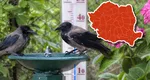 Prognoza meteo. Vreme de plajă, căldura se întoarce în luna lui Cuptor. Temperaturi sufocante pe litoral şi chiar la munte