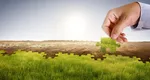 Horoscop anual: 6 ZODII primesc o îmbunătățire MAJORĂ a VIEȚII de acum până în iunie 2026