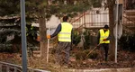 Se taie ajutoarele sociale. Condiţiile în care românii mai pot primi venitul minim de incluziune