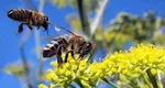 Cea mai NOROCOASĂ zi a lunii IUNIE 2025 pentru fiecare zodie