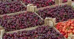 La Ploiești, kilogramul de cireșe costă 25 de lei: „Facem dulceață din fructe exotice”