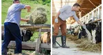 Se dau bani de la stat. Cine sunt românii care beneficiază de sprijin financiar în valoare de peste 48,5 milioane de lei