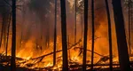 Stare de urgență în Grecia din cauza incendiilor de vegetație. Arde una dintre insulele preferate ale românilor