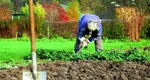 Greşeala banală care atrage amenzi drastice pentru românii care au grădină. La ce trebuie să fie atenţi