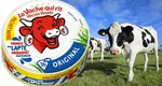 Ce ingrediente conține brânza topită „La Vache qui rit”. Cât de sănătoastă este, de fapt, brânzica preferată a copiilor