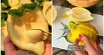 Desertul cu lămâi care a cucerit TikTok-ul. Se prepară din 3 ingrediente și este extrem de cremoasă