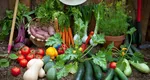 Leguma aflată în grădină care te poate otrăvi. Dezvăluirile făcute de specialiști
