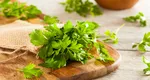Rețeta cu pătrunjel care te poate scăpa de 3 kilograme în doar câteva zile. Trebuie neapărat să o încerci