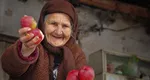 Veste bună pentru milioane de români. Autoritățile anunță că pensiile se vor mări anual până în 2030
