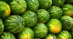 Cum alegi pepenele verde să fie perfect copt. Ce înseamnă, de fapt, pata galbenă de pe fruct