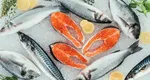 Cel mai bun pește pe care îl poți cumpăra din supermarketuri. Este mai ieftin decât macroul și mai sănătos decât somonul