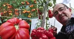 Unde se cultivă pomul care face roșii. Poate ajunge la peste 2 metri înălțime, iar fructele sunt zemoase și au un gust excepțional