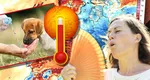 Prognoza meteo 25 iunie. Caniculă în România. Termometrele vor indica temperaturi sufocante mai ales după-amiaza