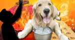 Noua prognoză Accuweather zguduie vara românilor. Iulie se transformă într-un adevărat iad termic, când scăpăm de caniculă