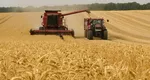 România este principalul exportator de grâu din Europa, peste Franţa. Se estimează producţie record şi pentru sezonul următor