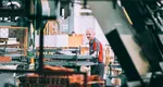 Vești bune pentru economia românească! Se conturează o nouă fabrică în România, după ce cererea a depășit toate așteptările
