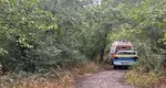 Descoperire șocantă la marginea Timișoarei. Un afacerist a fost găsit mort în pădure